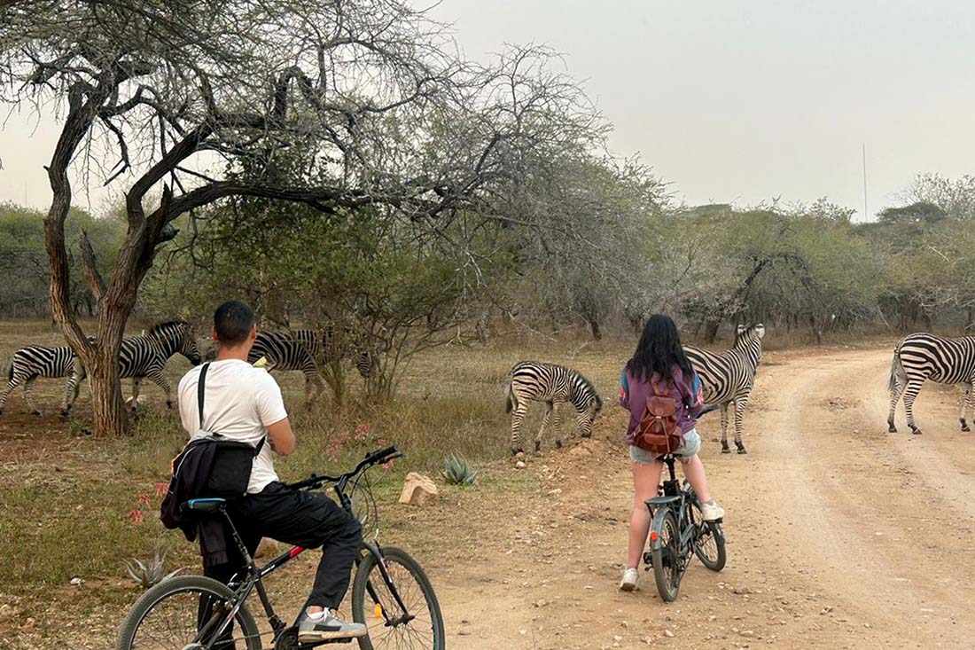 Cycling Through Marloth Park